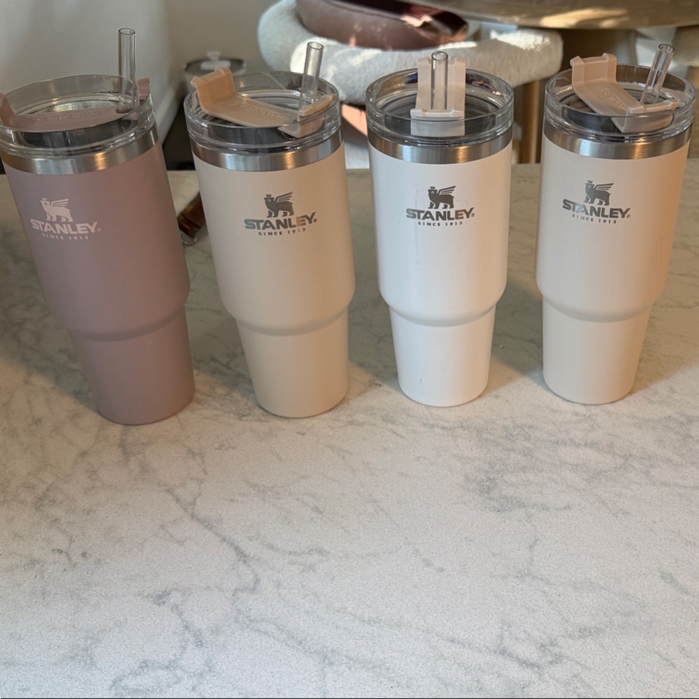 Stanley Tumbler Set in Earthy Hues